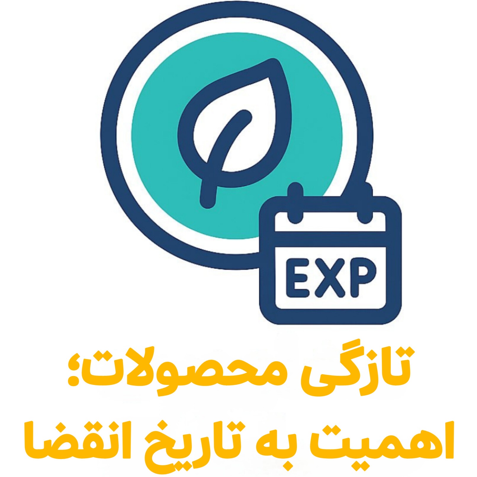 feature-image